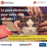 🚨🚨🚨🚨À l’attention des propriétaires et futurs propriétaires de chats 😸
